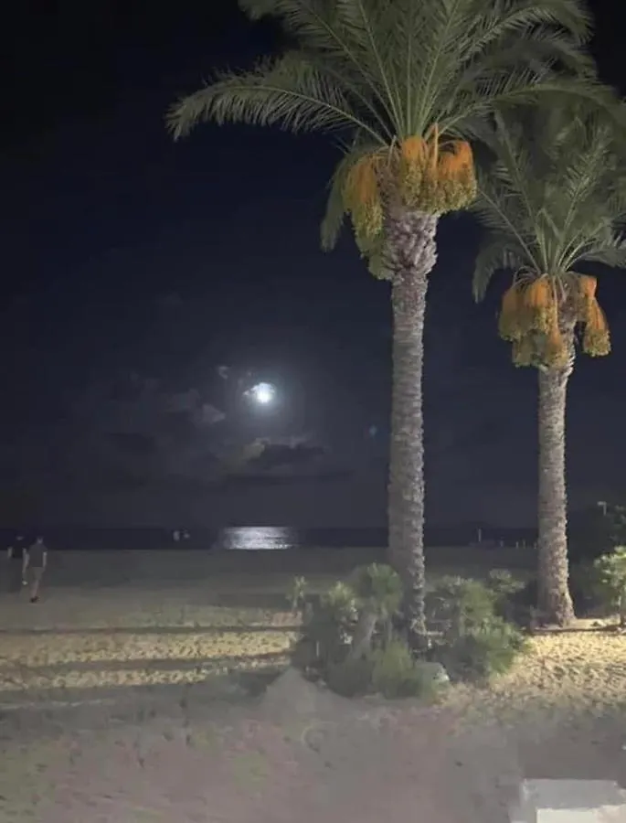 Holiday home Casa Aloha San Vito Lo Capo Italy